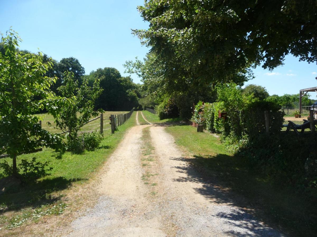 Chambre D'Hote En Vallee Du Loir - Elevage Des Rosiers Bazouges-sur-le-Loir Exterior photo